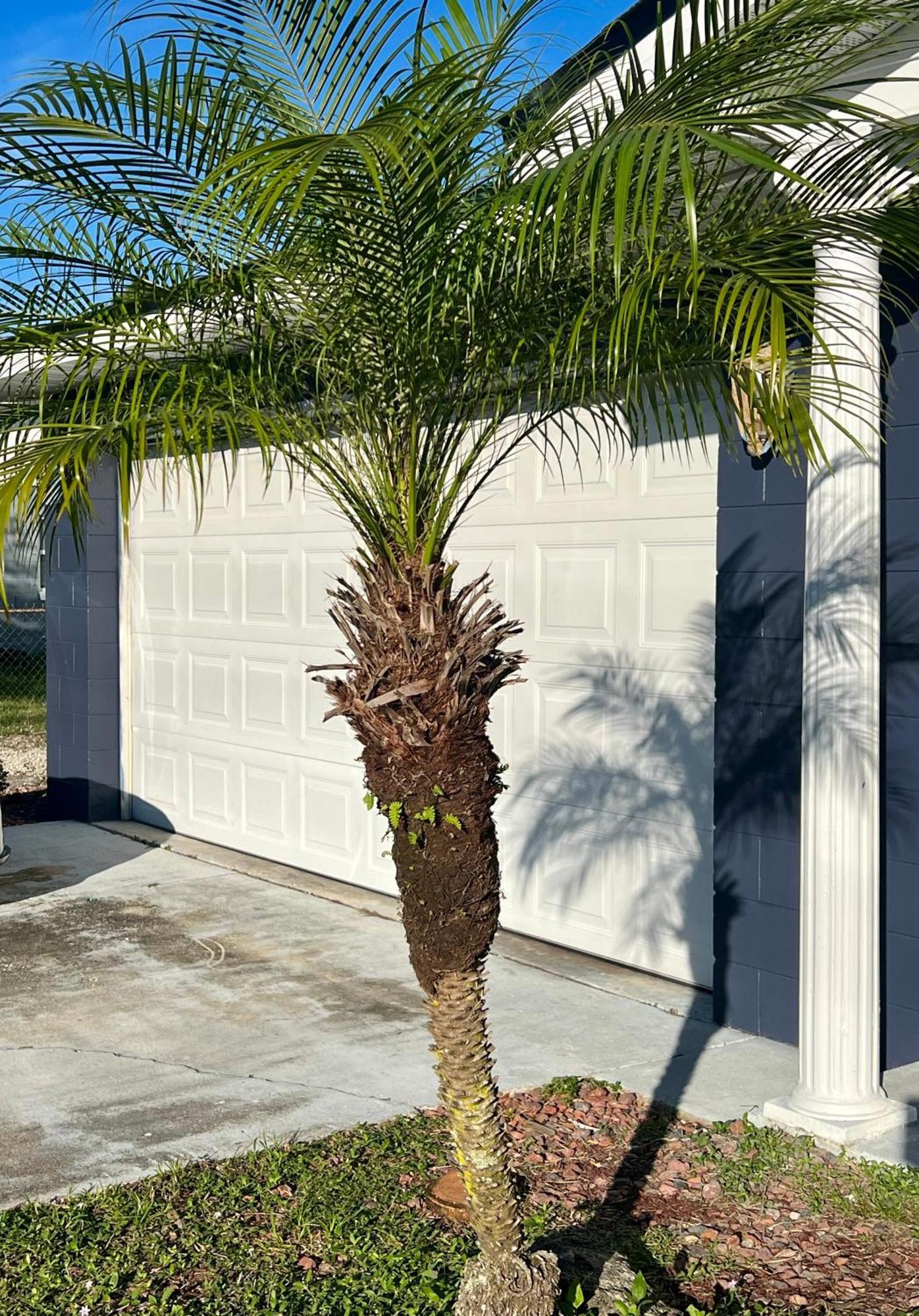 Vila Pool House Oasis Titusville Exteriér fotografie